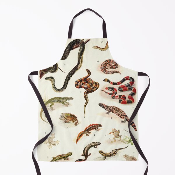 Item preview, Adolphe Millot - Batraciens et reptiles - French vintage zoology poster designed and sold by DejaVuStudio.