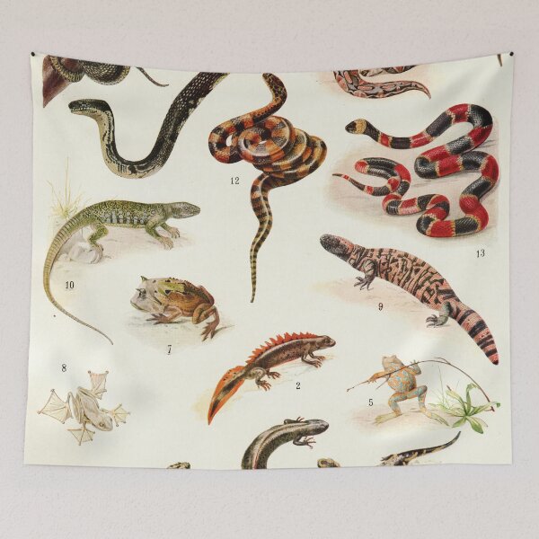 Item preview, Adolphe Millot - Batraciens et reptiles - French vintage zoology poster designed and sold by DejaVuStudio.