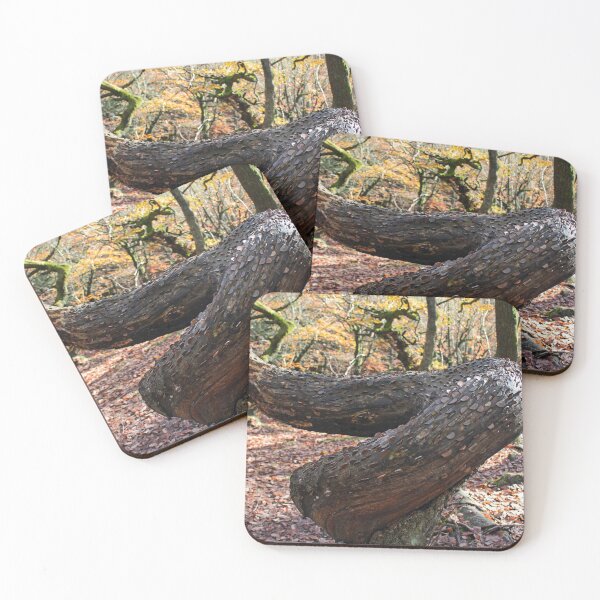 Item preview, Money tree, Padley Gorge, Derbyshire designed and sold by HazelWright.