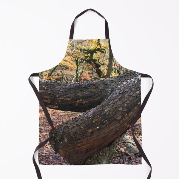 Item preview, Money tree, Padley Gorge, Derbyshire designed and sold by HazelWright.