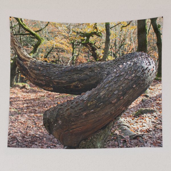 Item preview, Money tree, Padley Gorge, Derbyshire designed and sold by HazelWright.
