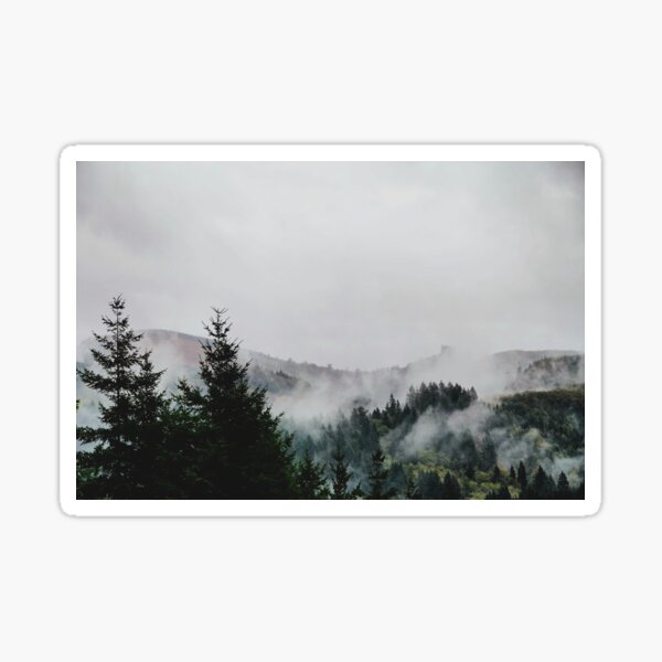 Foggy PNW Day Sticker