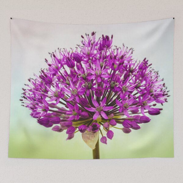 Item preview, Purple Allium. designed and sold by John Ray.
