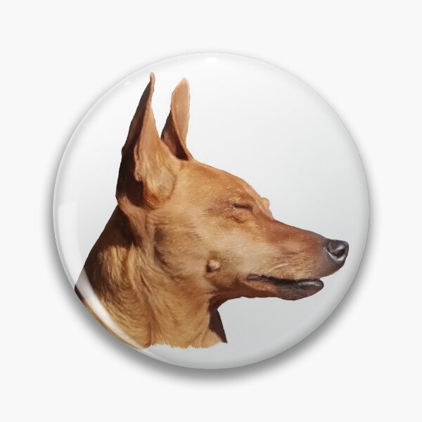 Item preview, Pinscher portrait  designed and sold by Antiope33.