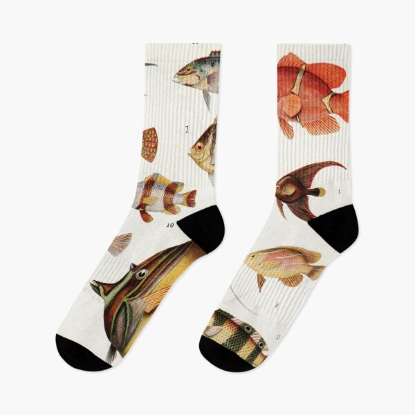 Item preview, Adolphe Millot - Poissons des coraux - French vintage zoology poster designed and sold by DejaVuStudio.
