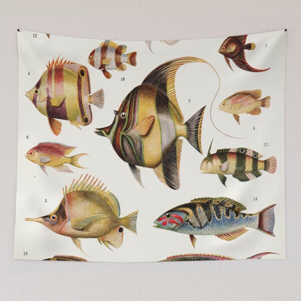 Item preview, Adolphe Millot - Poissons des coraux - French vintage zoology poster designed and sold by DejaVuStudio.