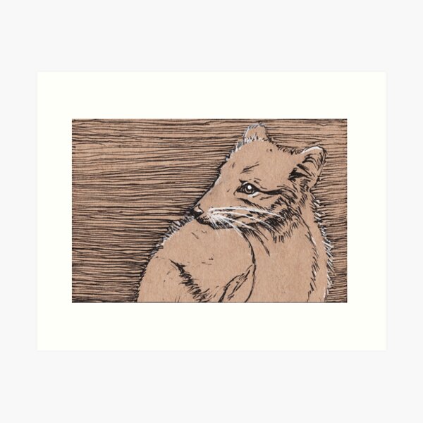Arctic Fox Art Print