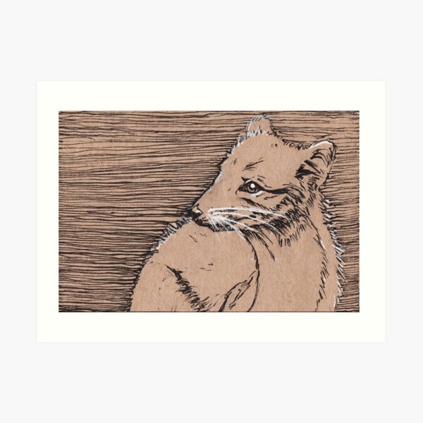 Arctic Fox Art Print