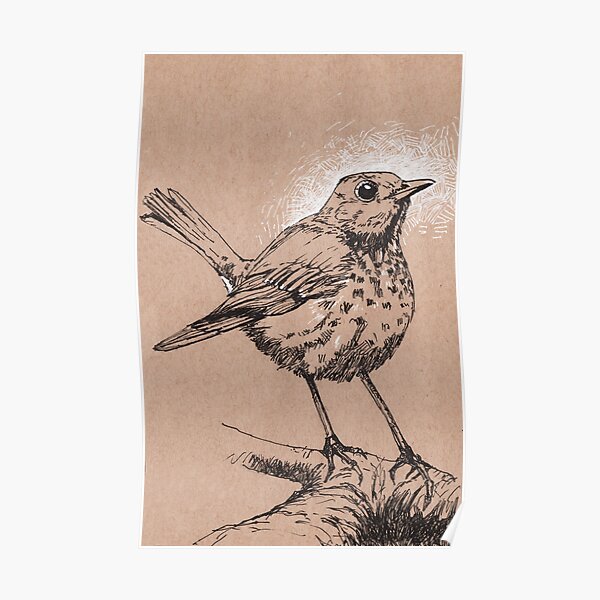 Bicknells Thrush Poster