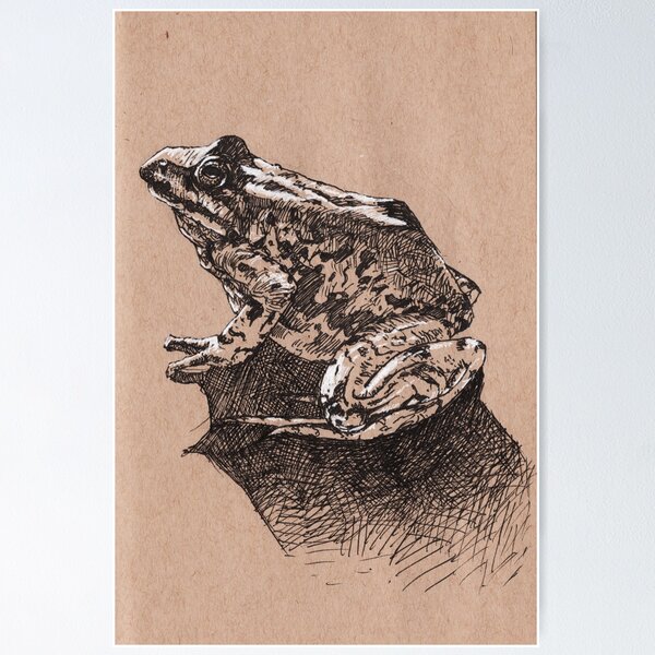 Colombian Spotted Frog Poster