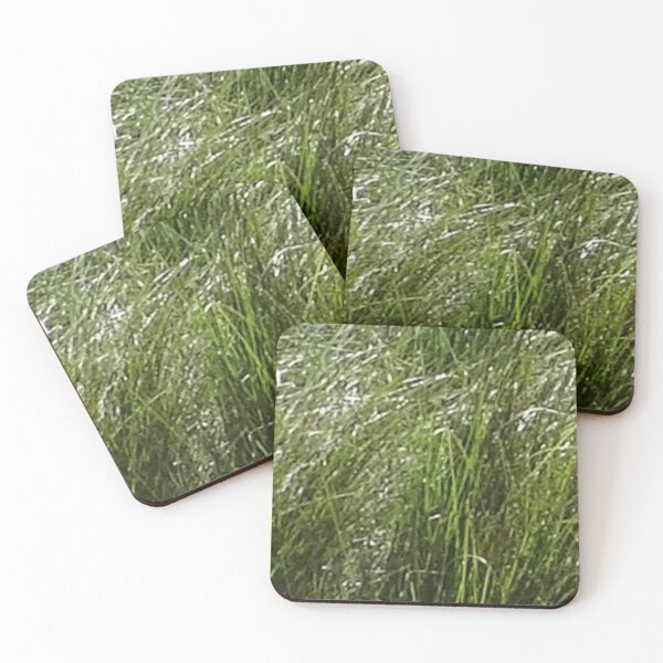 Item preview, Australian native grass designed and sold by JellyBeenzz.