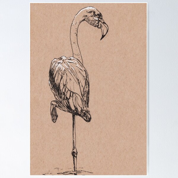 Flamingo Poster