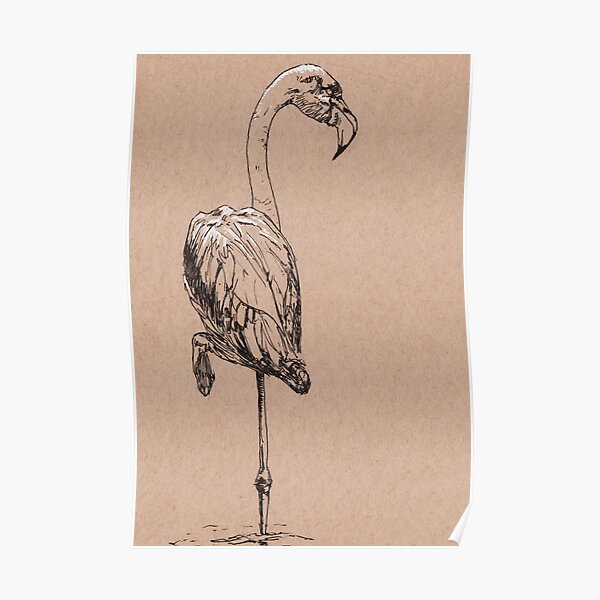 Flamingo Poster