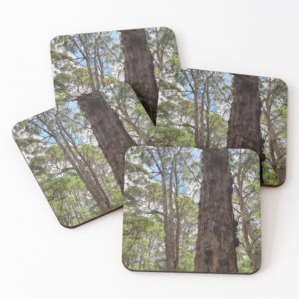 Item preview, Tall timbers. South west Karri forest designed and sold by JellyBeenzz.