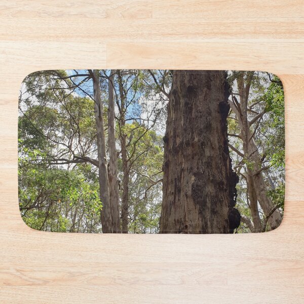 Item preview, Tall timbers. South west Karri forest designed and sold by JellyBeenzz.