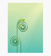 Chamouflaged green Chameleon lizard Photographic Print