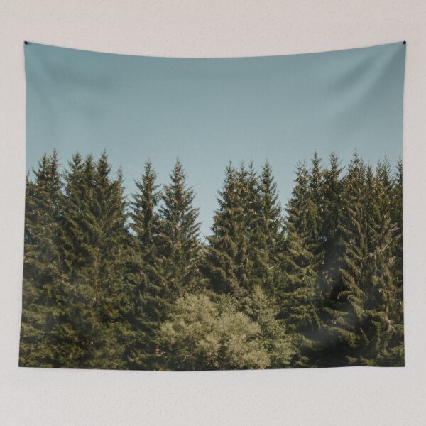 Item preview, Pine forest in the morning designed and sold by LorandQuest.