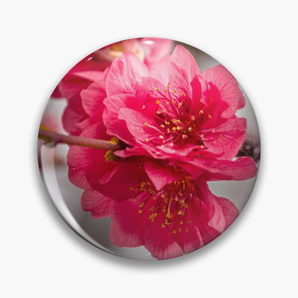 Item preview, Red cherry blossoms designed and sold by Elena Estelles.