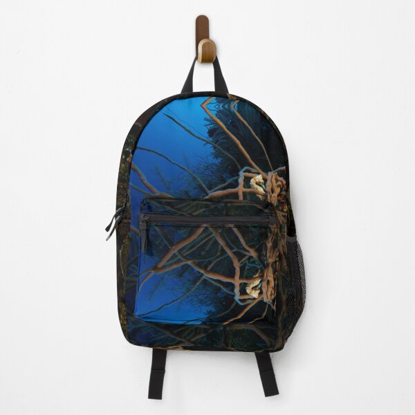 Item preview, Seahorse Hiding Among Branches designed and sold by Caitlin Chock.