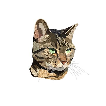 Artwork thumbnail, Green Eyed Kitty by NaomiiiC