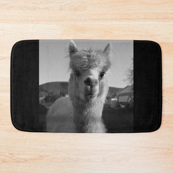 Item preview, Alpaca Black & White Lama Peru Alpaka Sweet / ALPACA LOVE Collection designed and sold by GionaSophia.