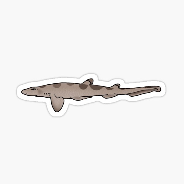 Aperçu de l'œuvre Antilles Catshark créée et vendue par laurenmoee.