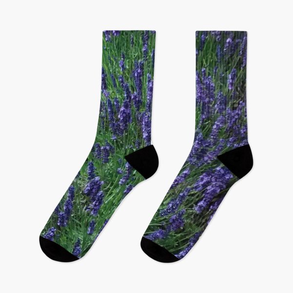Item preview, English lavender, in the Cotswolds designed and sold by JellyBeenzz.