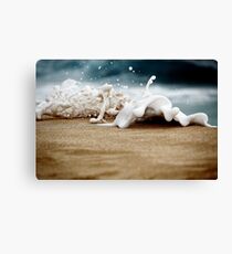 Splash! Canvas Print