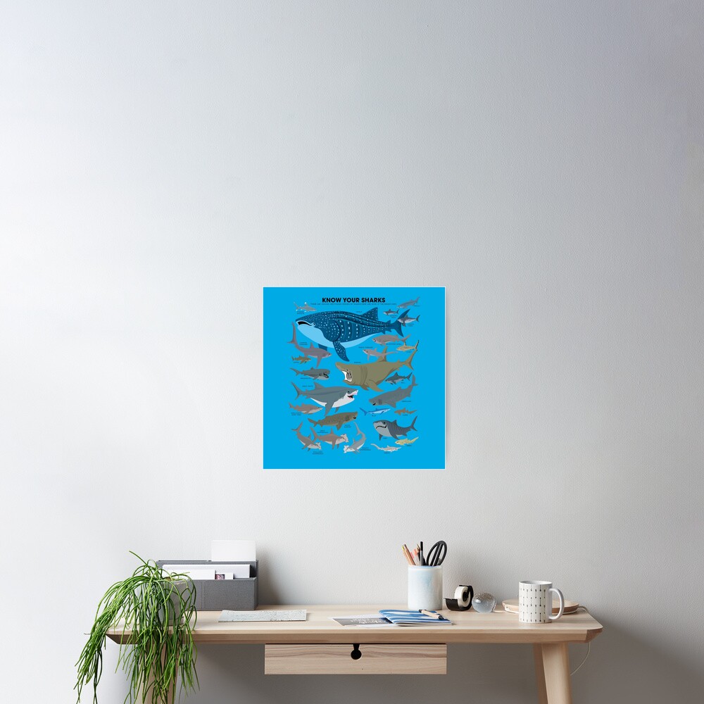 Item preview, Poster designed and sold by PepomintNarwhal.