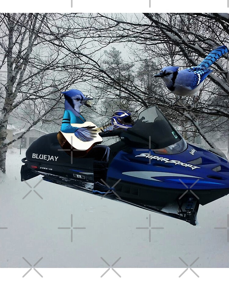 BLUE JAY ON ON SKI-DOO-- PLAYS GUITAR SERENADES MATE --VARIOUS FUN