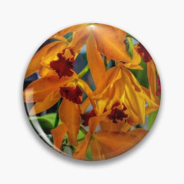 Item preview, Orchid Show 12 designed and sold by alanathrower.