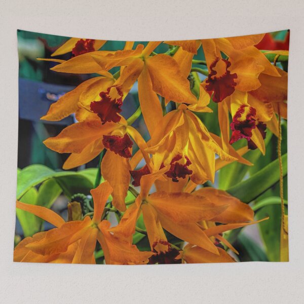 Item preview, Orchid Show 12 designed and sold by alanathrower.