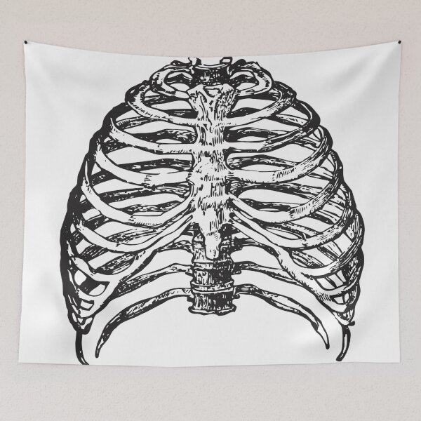 Item preview, Skeleton Rib Cage designed and sold by HugJen.