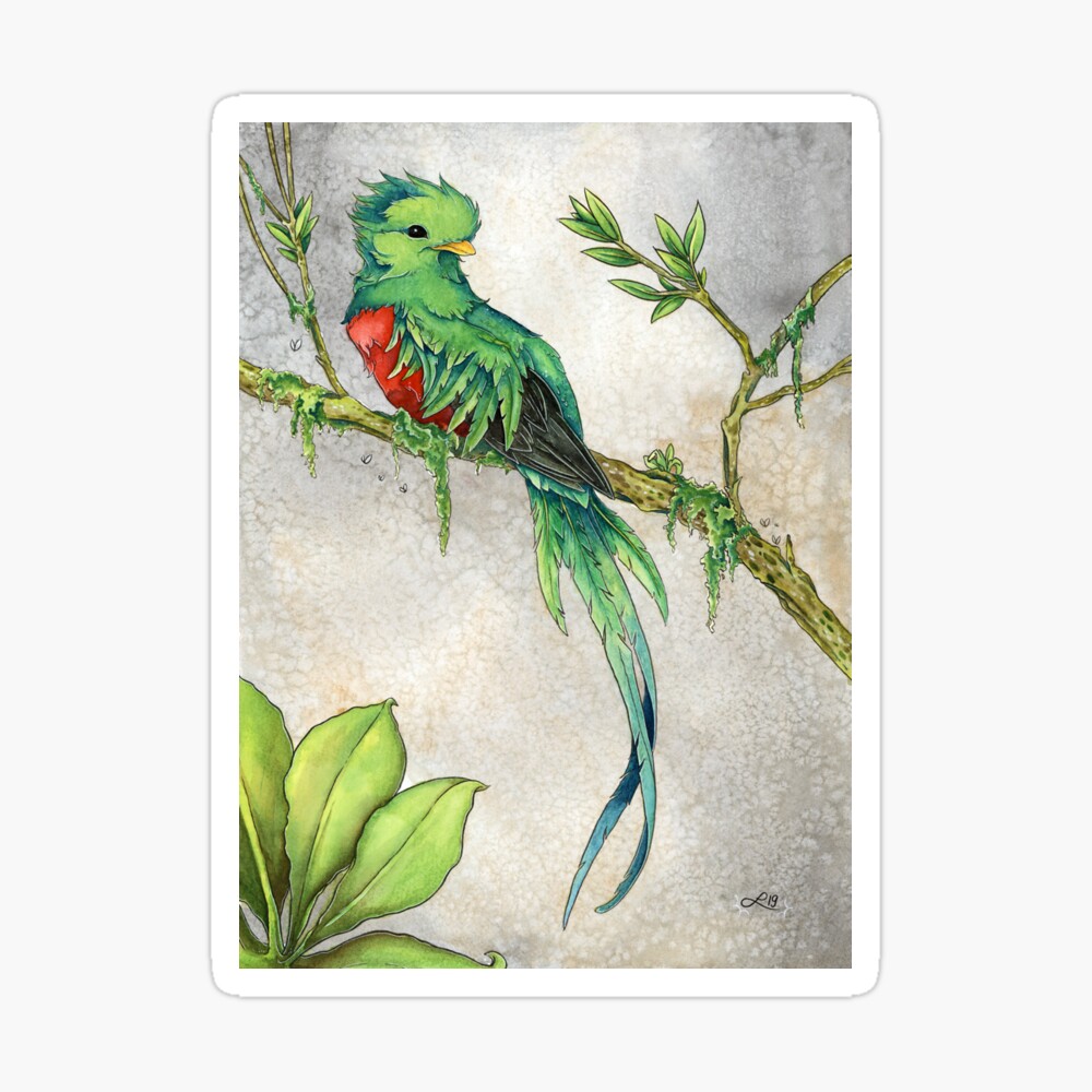 Quetzal Poster For Sale By Lyndaseward Redbubble