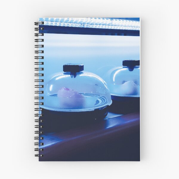 Item preview, Kaiten Sushi Japanese Cuisine designed and sold by SakuraSkies.