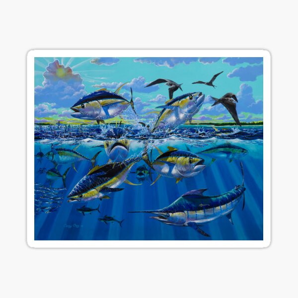Yellowfin Run Sticker