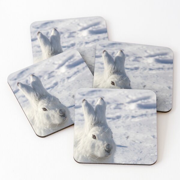 Item preview, Arctic Hare designed and sold by AWanderingMind.