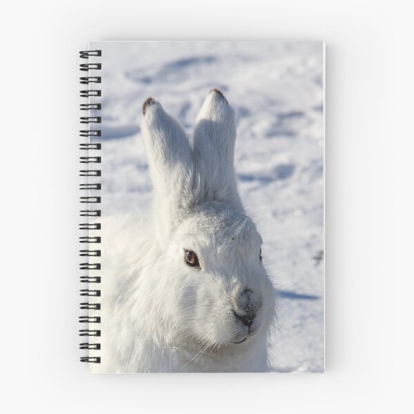 Item preview, Arctic Hare designed and sold by AWanderingMind.