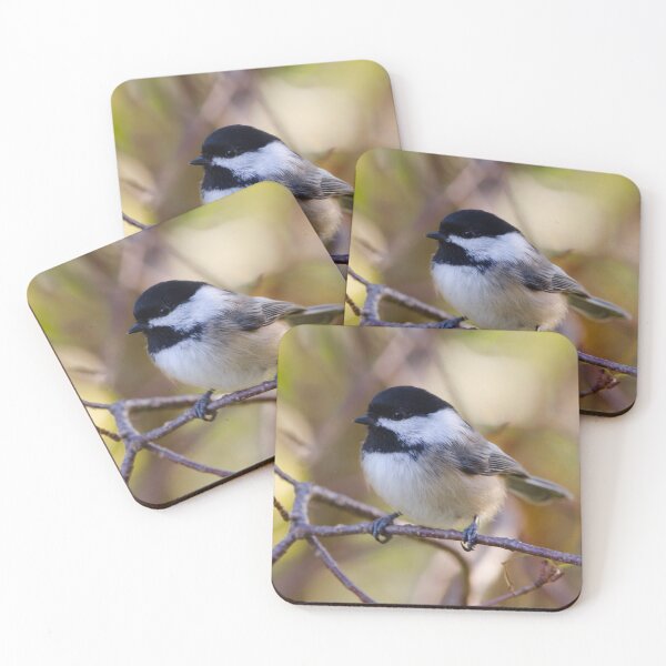 Item preview, Black-capped Chickadee (Poecile atricapillus) designed and sold by rodmacpherson.
