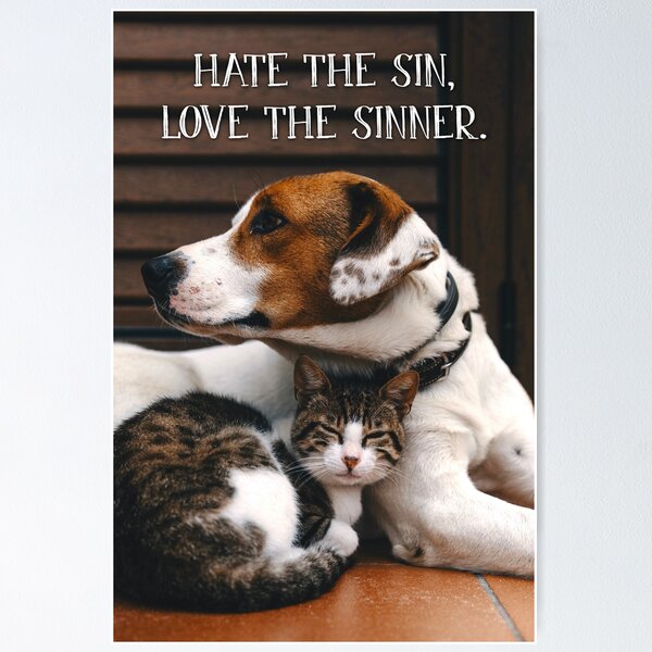 Hate the Sin, Love the Sinner - 1 Poster