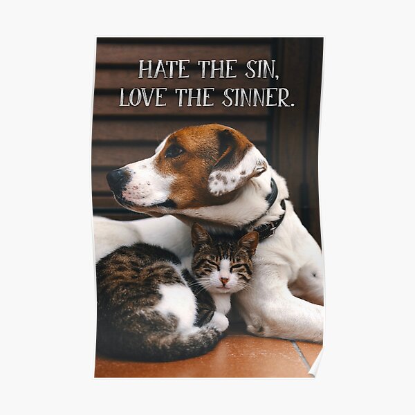 Hate the Sin, Love the Sinner - 1 Poster