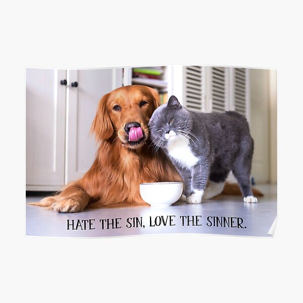 Hate the Sin, Love the Sinner - 2 Poster