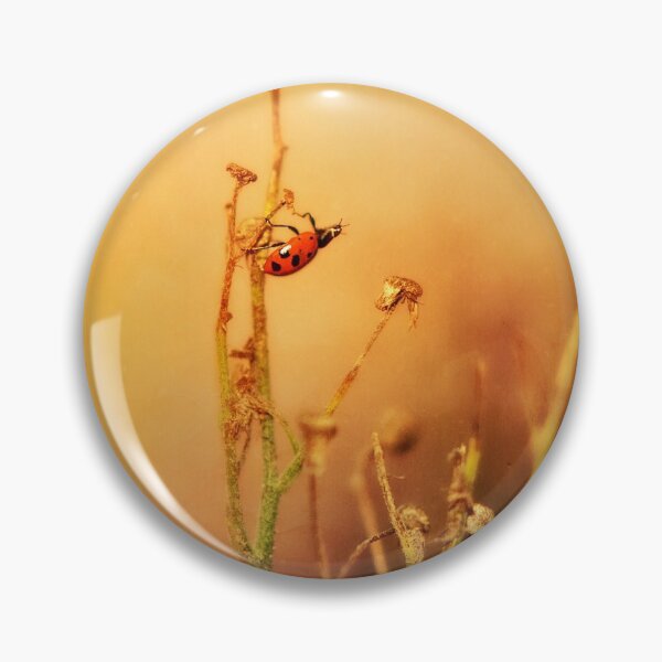 Item preview, Ladybug Adventures designed and sold by LightFocused.
