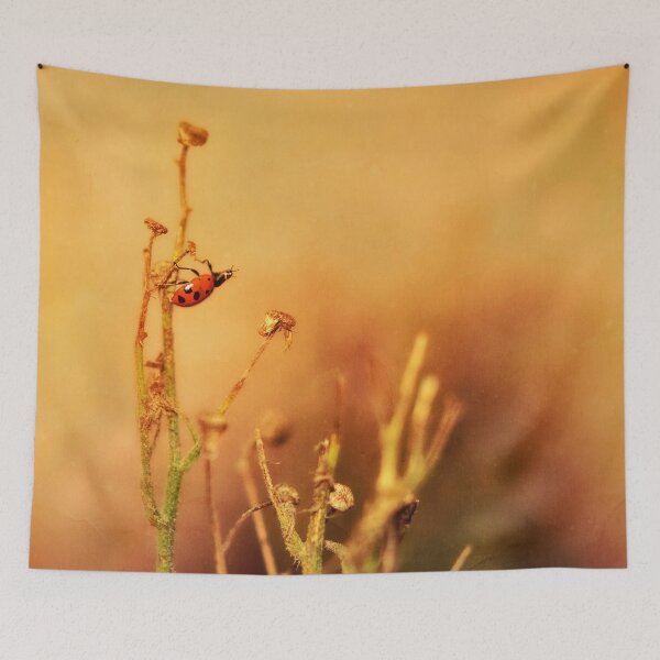 Item preview, Ladybug Adventures designed and sold by LightFocused.