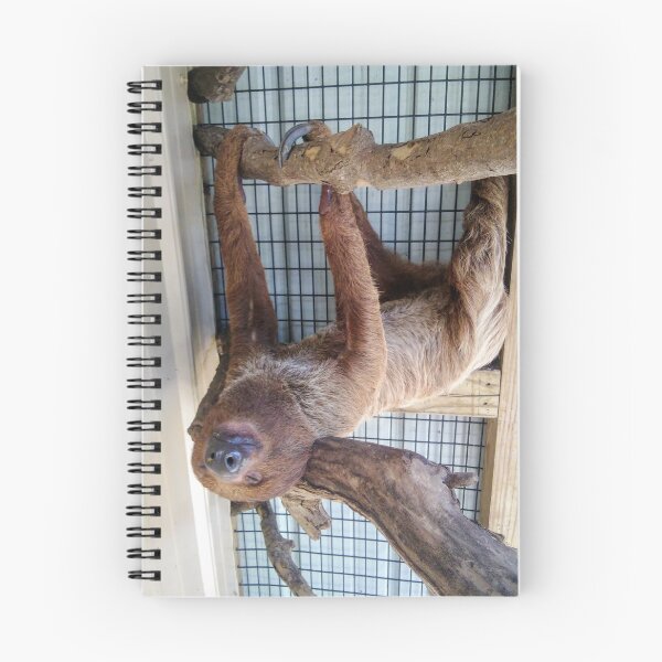 Item preview, The Most Chill Sloth designed and sold by EnticingRose.