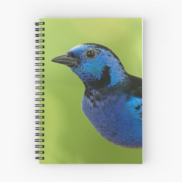 Item preview, Opal-rumped Tanager designed and sold by WorldDesign.
