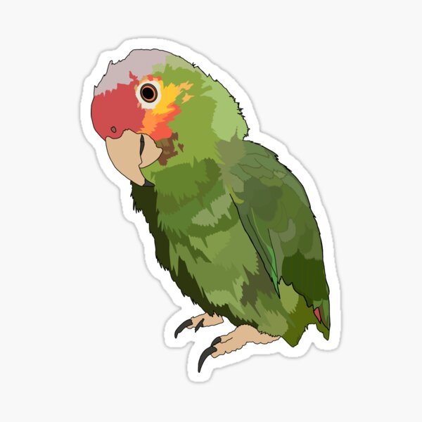 “Mango! Sticker” Sticker for Sale by Mbeccard | Redbubble