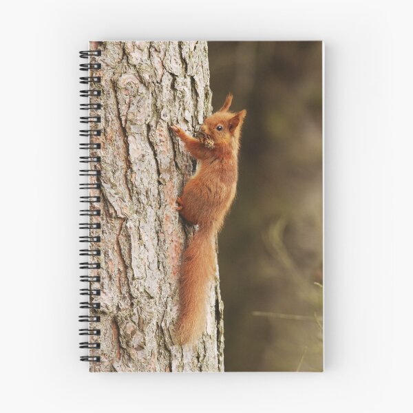 Item preview, Red Squirrel Climbing Pine Tree designed and sold by Nigel Tinlin.