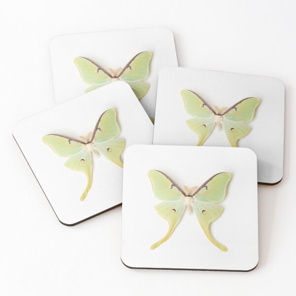 Item preview, Luna Moth designed and sold by Ilze Lucero.
