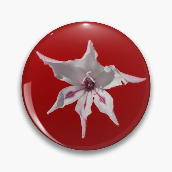 Item preview, Gladioli Blushing Bride designed and sold by PLANTONE.